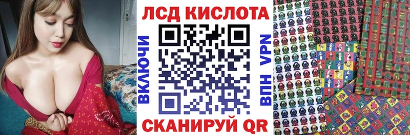 где можно купить наркотик  Верхняя Пышма  дарк нет официальный сайт  Марки 25I-NBOMe 1500мкг 