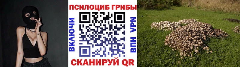 Галлюциногенные грибы GOLDEN TEACHER  цена   Верхняя Пышма 